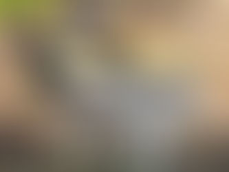 Raising Meat Sheep for Profit