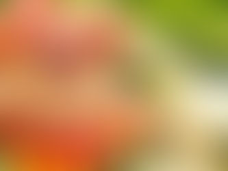 July Gardening & Seasonal Eating Guide for Zone 9