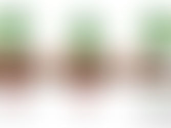 The #1 Mistake Planting Trees & Shrubs