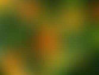 How to Plant for a Fruit-Filled Year