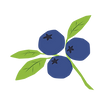 20240206_200617_0000.png