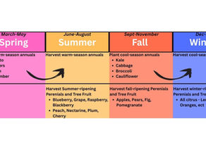 Garden Basics for Total Newbies