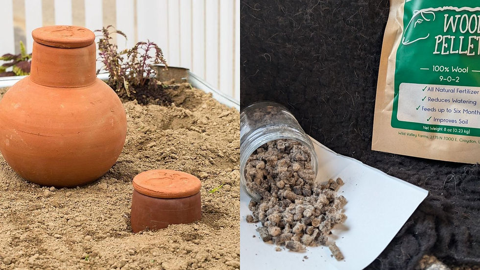 'Lehman' Brand Olla Pots and Wool Pellets