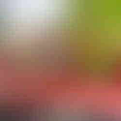 voiture rouge avec une besace sur le toit avec le panneau st tropez