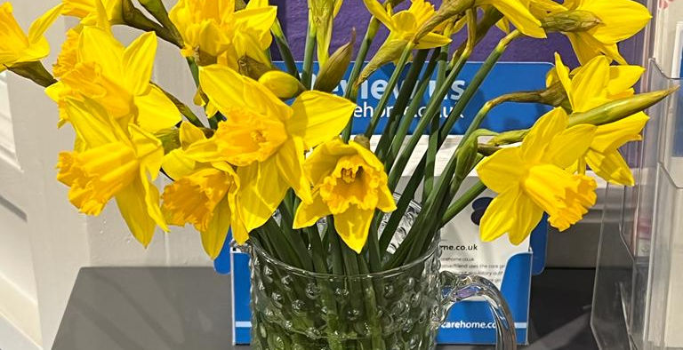 Newsletter: St David's Day