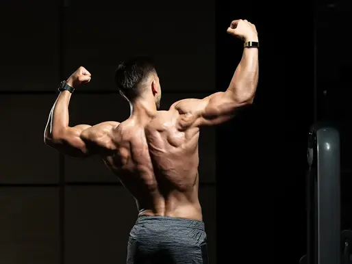 How Long Does It Take Men to Build Noticeable Muscle?