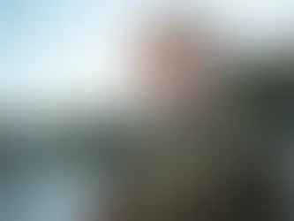 Healthy Aging Through the Lens of Developmental Psychology