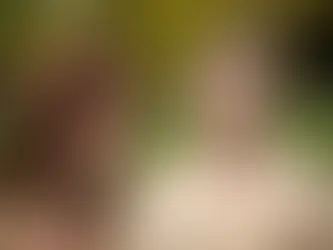 Moving On After Heartbreak: What the Mind Needs to Heal