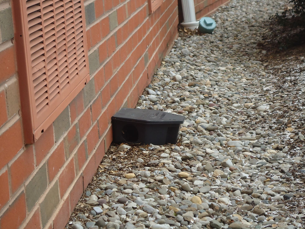 Exterior bait box