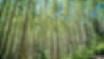evan-wise-UcOmfw_eSTw-unsplash 1.jpeg