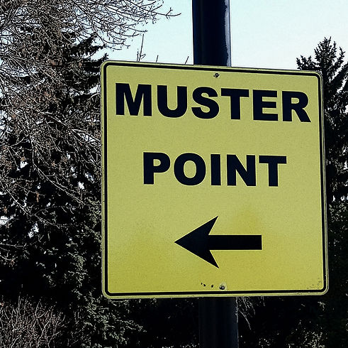 musterpoint.jpg