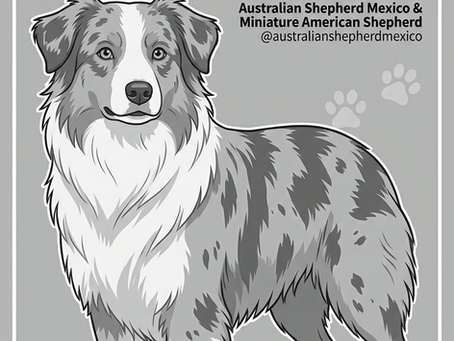 Gen MDR1 Archivo Completo / Lista Medicamentos