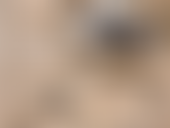 Estándar Racial Miniature American Shepherd: Guía Práctica