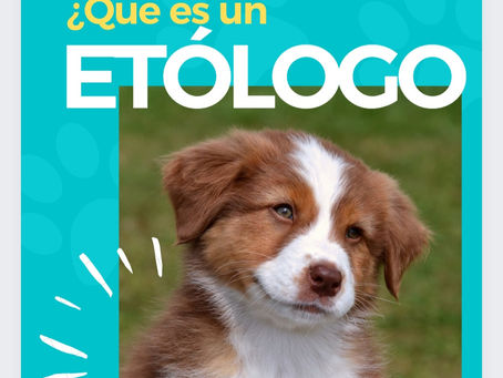 ¿Qué es un Etólogo Canino?