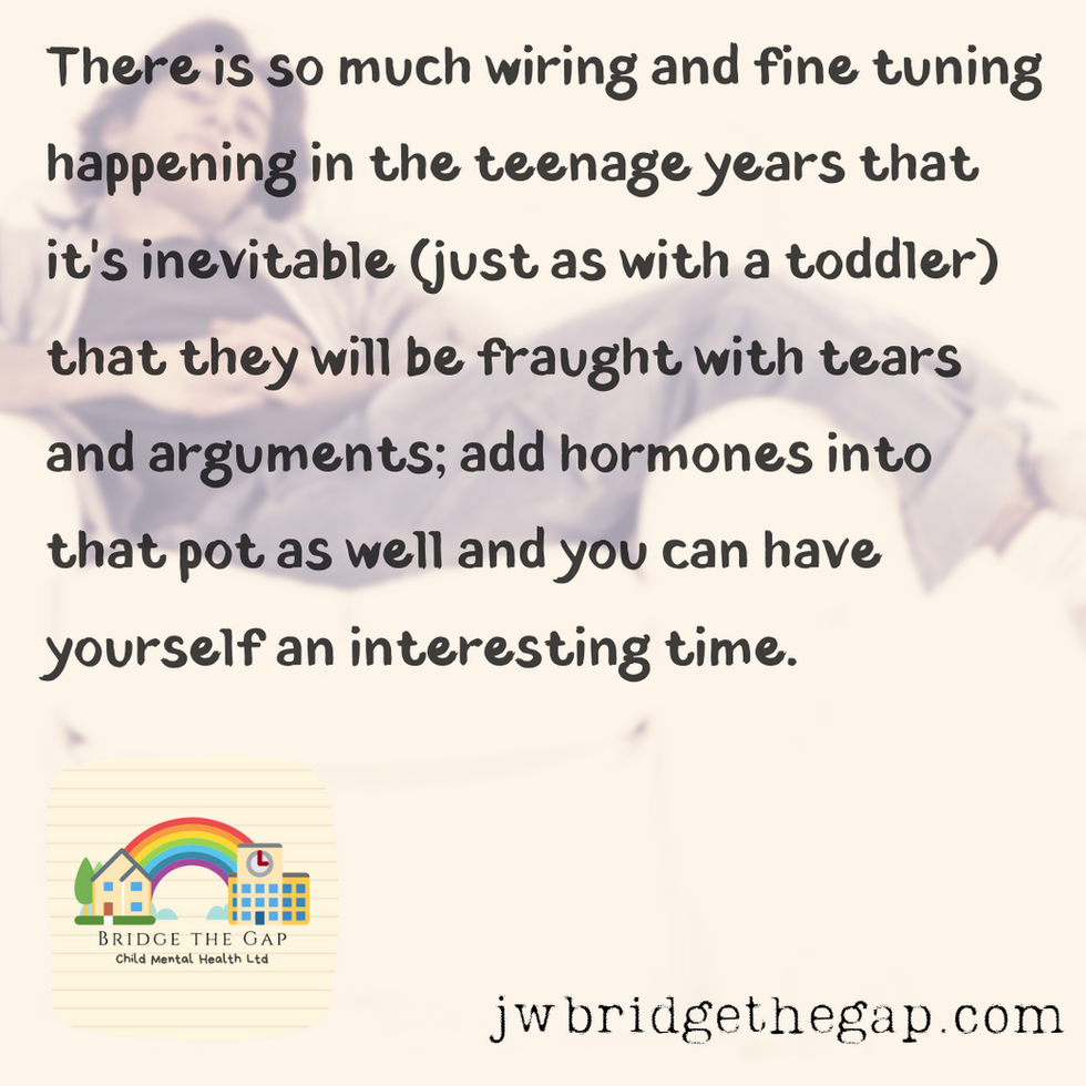 Parenting an Emotional Teen