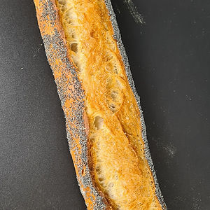 Pavot