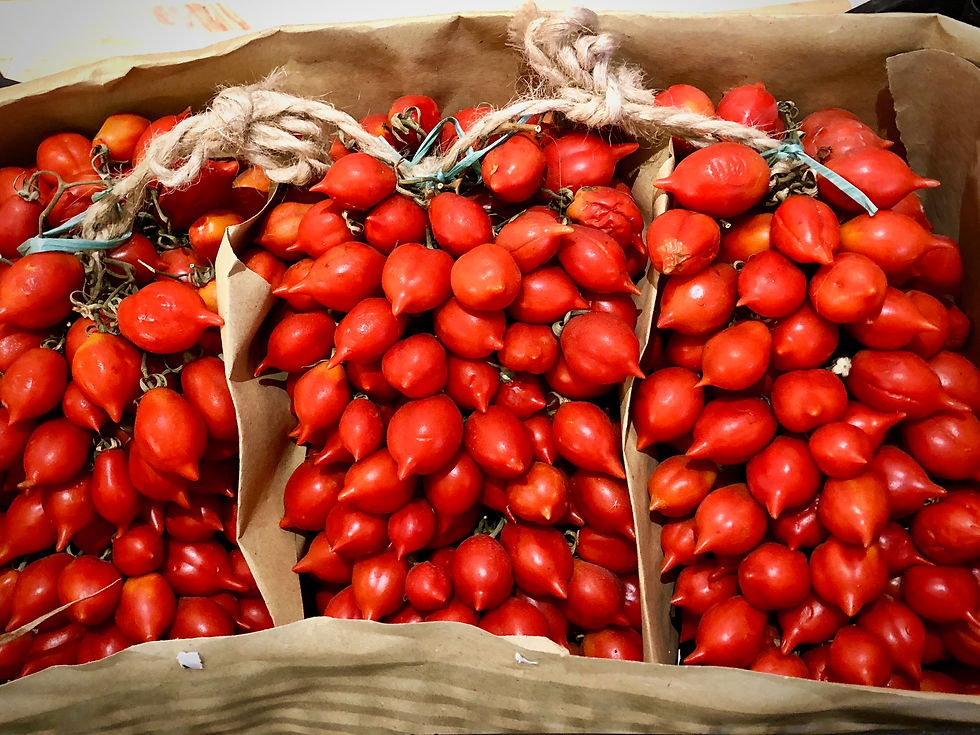 Tomate del Piennolo