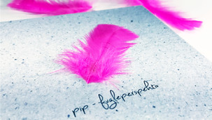 PIP