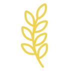Sage.png