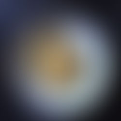 Oxtail Tortellini Recipe