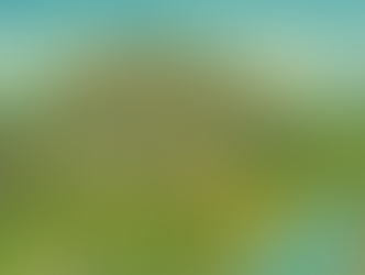 나트랑 카지노 | 나트랑 유일 실카 카지노