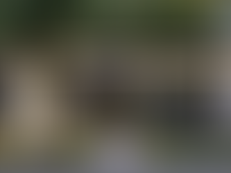 The Soul of Simplicity: DIY vs. Corporate-Built Tiny Homes