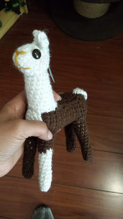 llama