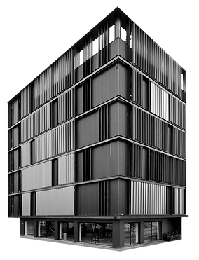 fortius%20cdmx%20sf_edited.png