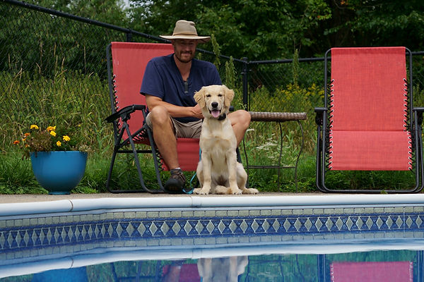 Golden at pool with trainer.jpg
