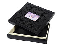 LB-SL Box_Small.jpg