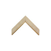 LINER GOLD.jpg