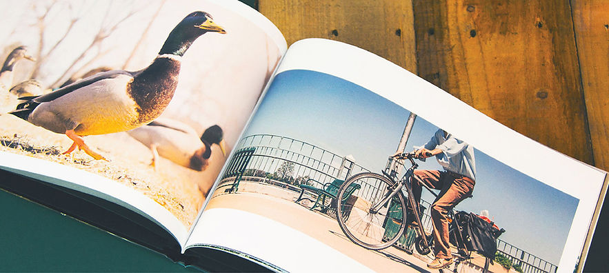 Photobook Paper Material Banner Design_Small.jpg