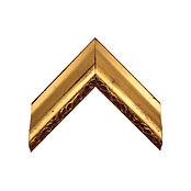 A2-U851-G.jpg