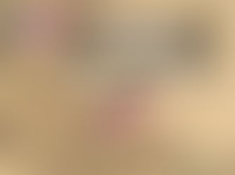 Präsident Trumps geheime Siege