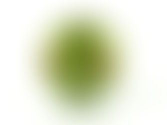 Wohin bewegt sich das Währungspaar?
