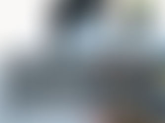 Qualitätsaktien um jeden Preis?