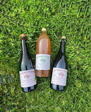 Bouteilles de cidre et jus de pomme