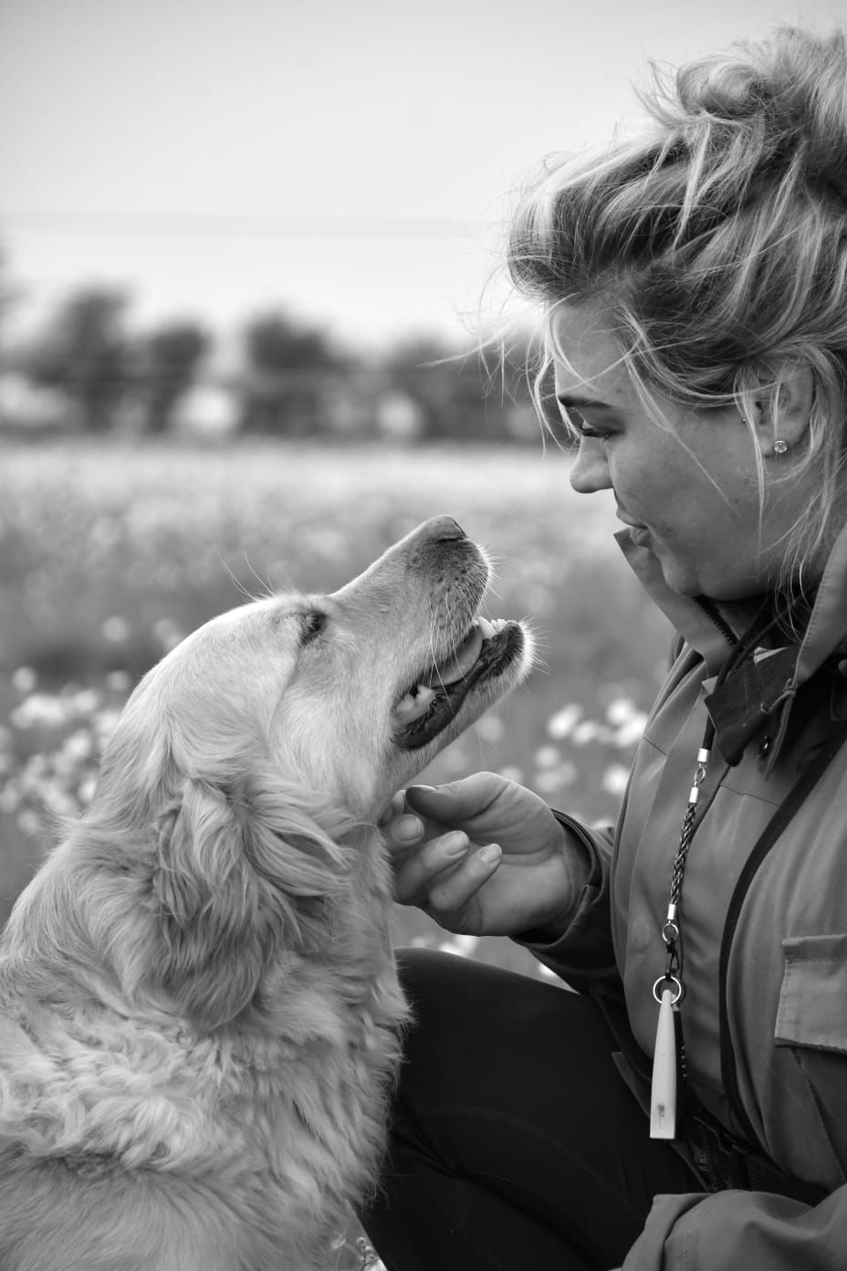 6f122c03-3d4b-4cae-86d9-dd57eacd7a45 2