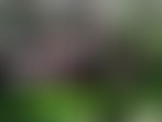 De Koerier mei 2023 Deel 1