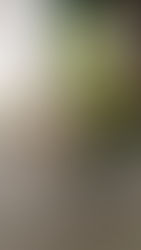 WSET 3!!! Certificazione ottenuta con Merito!!!