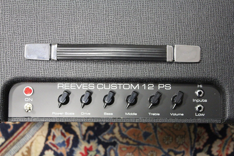 Thumbnail: New Reeves Custom 12 PS Combo