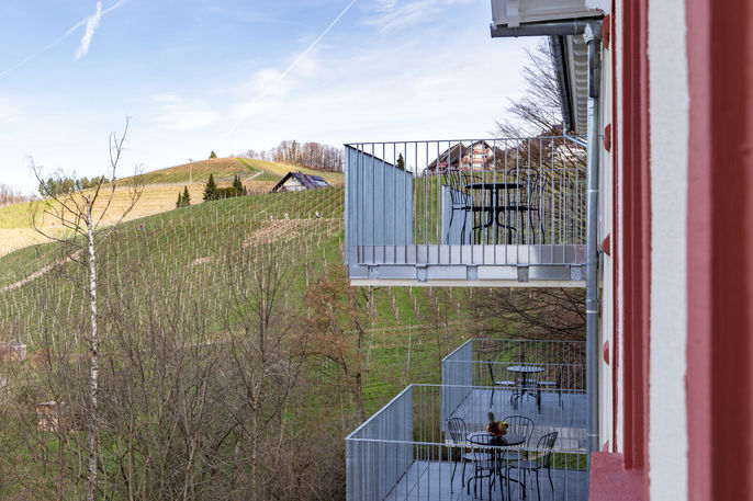 Adler Apartments Sasbachwalden-N°26 by living TIMELESS, holiday apartment, vacation, accommodation, guest house in the Black Forest