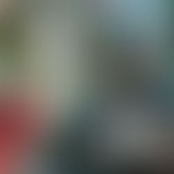 Top Interior Design Trends to Watch Out for in 2024