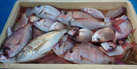 【釣り人】東京 中央区   遠藤様