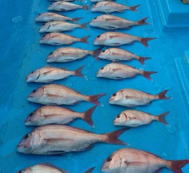 【釣り人】大阪  堺市  中村様