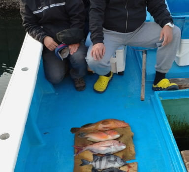 【釣り人】大阪  岩元グループ 様