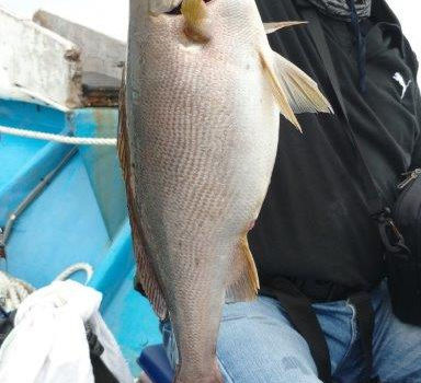 【釣り人】大阪  交野市  奥村グループ様