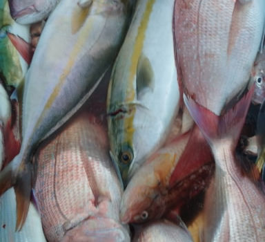 【釣り人】京都市 右京区 太秦   永田様