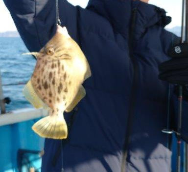 【釣り人】大阪 堺市 国分様