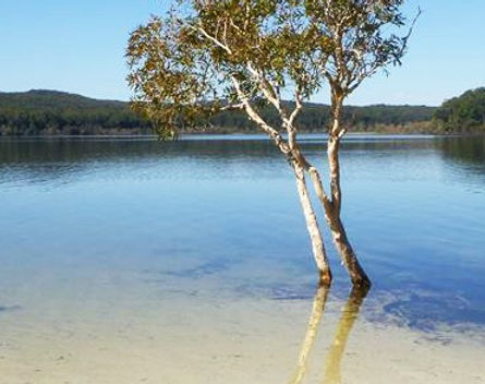 Frazer Island, Queensland, Australia